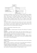 Referāts 'A/s "Liepājas Metalurgs" saimnieciskās darbības novērtējums', 12.