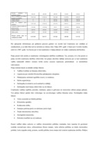 Referāts 'A/s "Liepājas Metalurgs" saimnieciskās darbības novērtējums', 16.