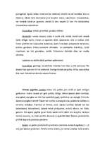 Referāts 'Apģērba kultūra', 4.