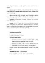 Referāts 'Apģērba kultūra', 5.