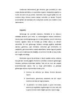 Referāts 'Apģērba kultūra', 6.