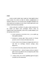 Referāts 'Apģērba kultūra', 8.