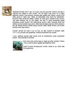 Konspekts 'Jāņa baznīca', 2.