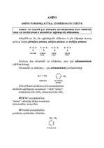 Referāts 'Amīni', 1.