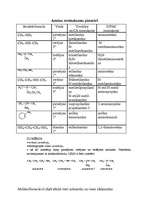 Referāts 'Amīni', 2.