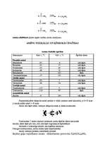 Referāts 'Amīni', 4.