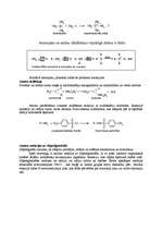 Referāts 'Amīni', 7.