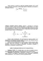 Referāts 'Amīni', 9.