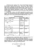 Referāts 'Amīni', 11.