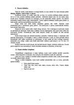 Referāts 'Runa un valoda kā veiksmīgas prezentācijas sastāvdaļa', 4.