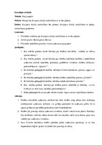 Prakses atskaite 'Prakse sākumskolā', 5.