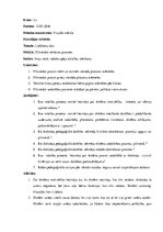 Prakses atskaite 'Prakse sākumskolā', 11.