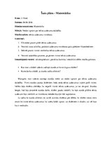 Prakses atskaite 'Prakse sākumskolā', 17.