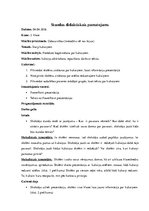 Prakses atskaite 'Prakse sākumskolā', 21.