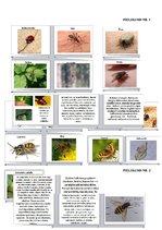 Prakses atskaite 'Prakse sākumskolā', 23.