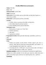 Prakses atskaite 'Prakse sākumskolā', 29.