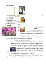 Prakses atskaite 'Prakse sākumskolā', 31.