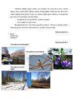 Prakses atskaite 'Prakse sākumskolā', 32.