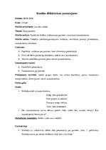 Prakses atskaite 'Prakse sākumskolā', 36.