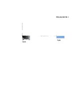 Prakses atskaite 'Prakse sākumskolā', 38.