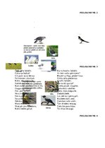 Prakses atskaite 'Prakse sākumskolā', 39.