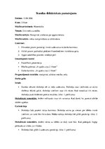 Prakses atskaite 'Prakse sākumskolā', 43.