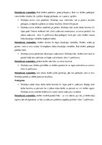 Prakses atskaite 'Prakse sākumskolā', 44.