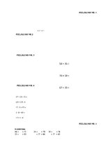 Prakses atskaite 'Prakse sākumskolā', 51.