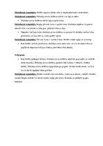 Prakses atskaite 'Prakse sākumskolā', 68.