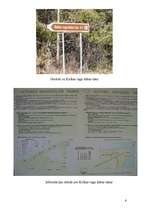 Referāts 'Kolkas raga dabas taka', 7.