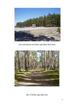 Referāts 'Kolkas raga dabas taka', 8.