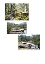 Referāts 'Kolkas raga dabas taka', 9.