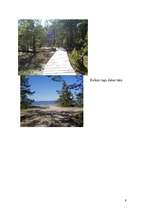 Referāts 'Kolkas raga dabas taka', 10.