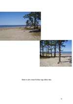 Referāts 'Kolkas raga dabas taka', 11.