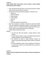 Prakses atskaite 'Skolvadības aktīvā prakse', 29.