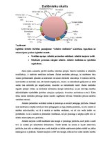 Prakses atskaite 'Skolvadības aktīvā prakse', 35.