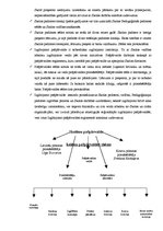 Prakses atskaite 'Skolvadības aktīvā prakse', 54.