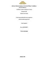 Prakses atskaite 'SIA "Unisports"', 1.