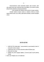 Prakses atskaite 'SIA "Unisports"', 29.