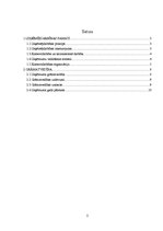 Referāts 'Uzņēmējdarbības teorija', 2.