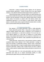 Referāts 'Uzņēmējdarbības teorija', 8.