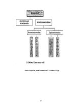 Referāts 'Uzņēmējdarbības teorija', 14.