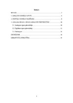 Referāts 'Analogie un digitālie signāli', 2.