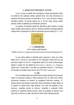 Referāts 'Analogie un digitālie signāli', 4.