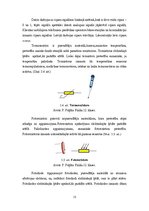 Referāts 'Analogie un digitālie signāli', 15.