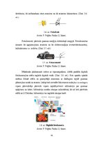 Referāts 'Analogie un digitālie signāli', 16.