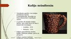 Prezentācija 'Tirgus pētījums - kafija', 4.