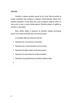 Referāts 'Nabadzība kā socializācijas riska faktors', 3.