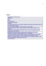 Referāts 'Brīvā tirdzniecība un protekcionisms mūsdienu ekonomikā', 2.