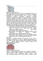 Konspekts 'Augu audu veidi', 3.